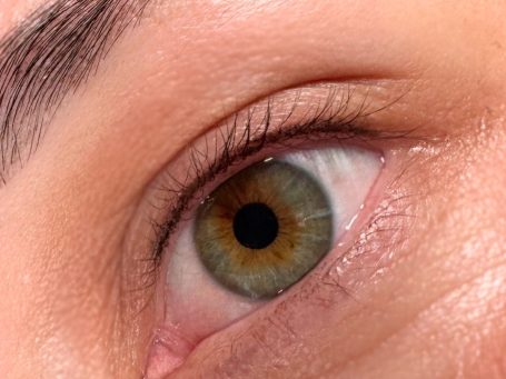 Wimpernkranz Verdichtung in Lindau